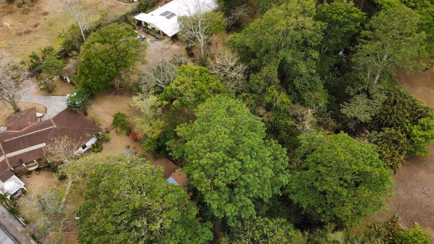 Venta de Terreno residencial en ESCAZU - Imagen 9