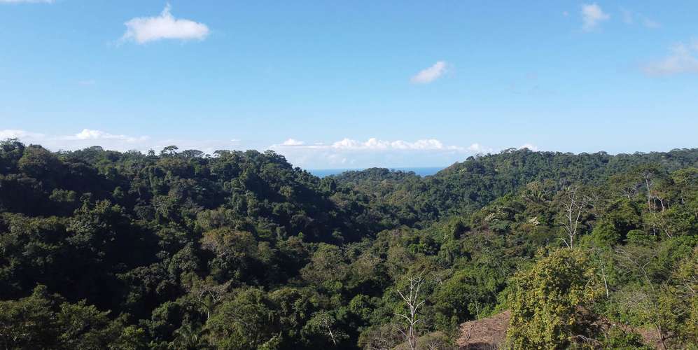 Lote en Puntarenas - 30009 m² - ₡538,944,000