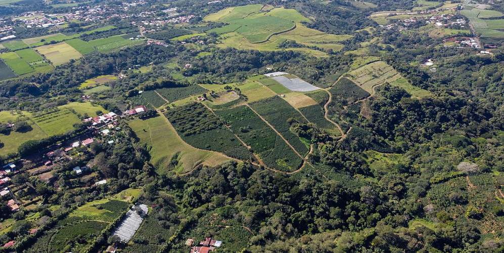 Finca 28 ha en Poás Alajuela - Vista panorámica 360° - Proyecto
