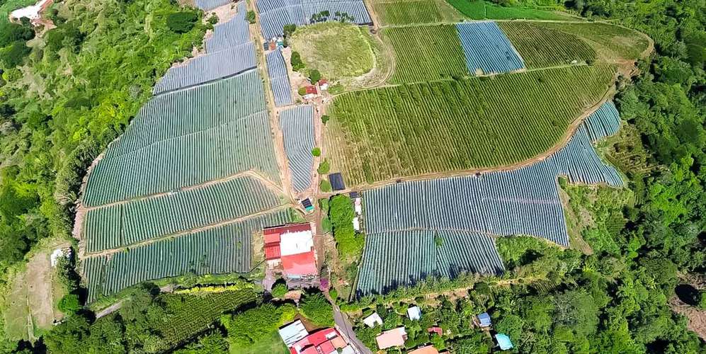 Finca 28 ha en Poás Alajuela - Vista panorámica 360° - Proyecto