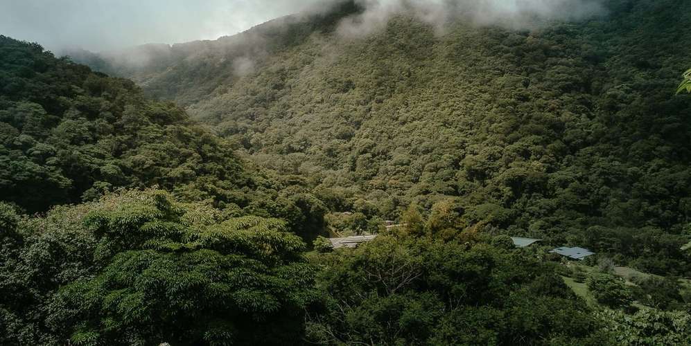 Casa 2 habs en Acosta Palmichal - Salvaje - Naturaleza y privacidad