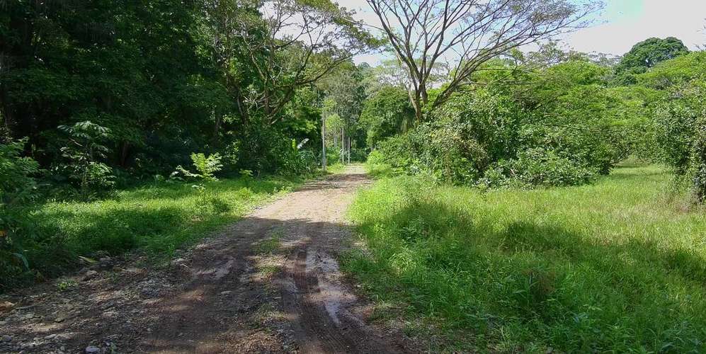 Lotes en Limón Hone Creek - Frente a río y selva - Cerca Puerto Viejo - Imagen 2