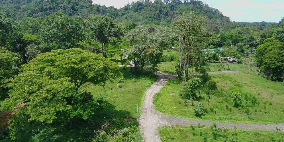 Lotes en Limón Hone Creek - Frente a río y selva - Cerca Puerto Viejo - Imagen 4