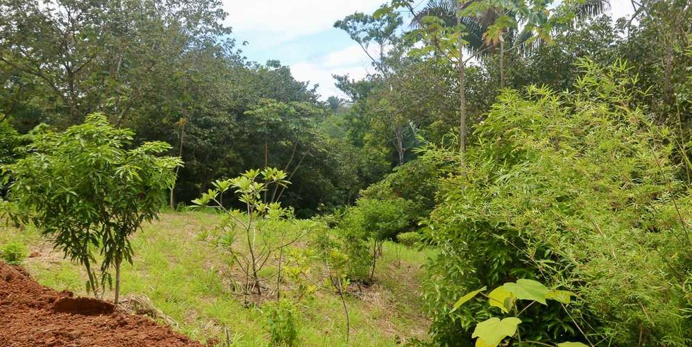 Lote en Puntarenas - 900 m² - ₡62,427,680