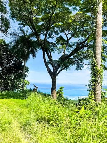 Lote en Santa Teresa Malpaís - Vista panorámica al mar - Privacidad - Imagen 5