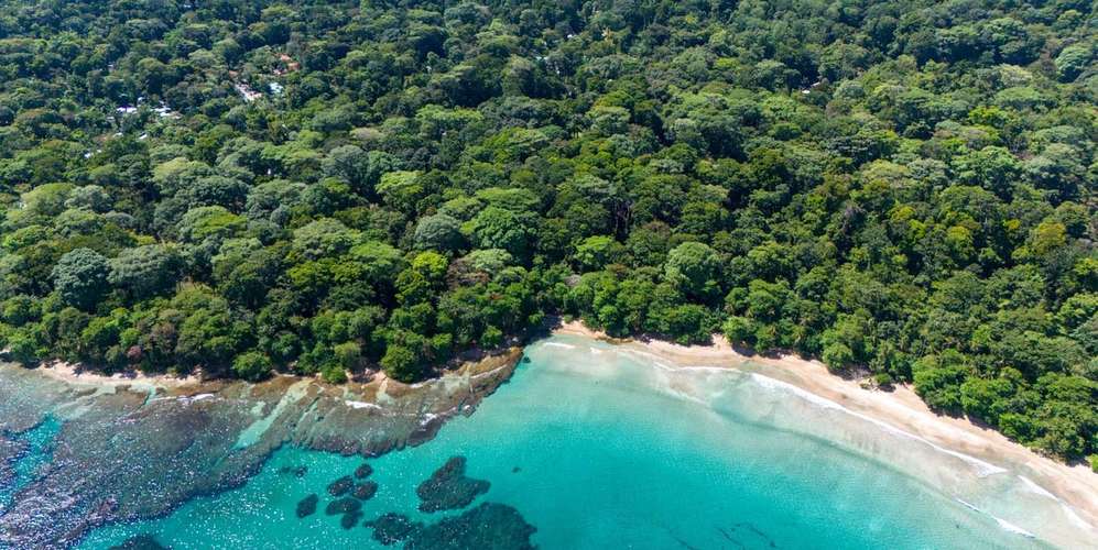 Lot in Puerto Viejo Playa Chiquita - Beachfront Parcel - Eco