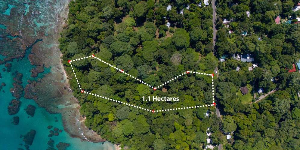 Lote frente al mar en Puerto Viejo Playa Chiquita - 1.1 ha con playa - Imagen 2
