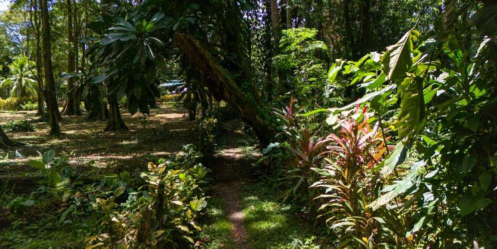 Lote frente al mar en Playa Chiquita Puerto Viejo - Playa Chiquita -