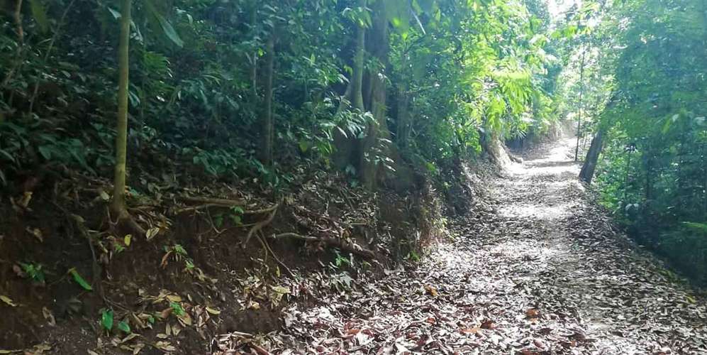 Finca 55 ha en Turrubares San José - Vista al Pacífico - Proyecto