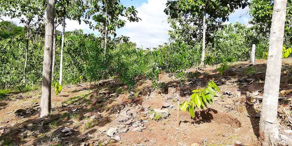 Finca 55 ha en Turrubares San José - Vista al Pacífico - Proyecto
