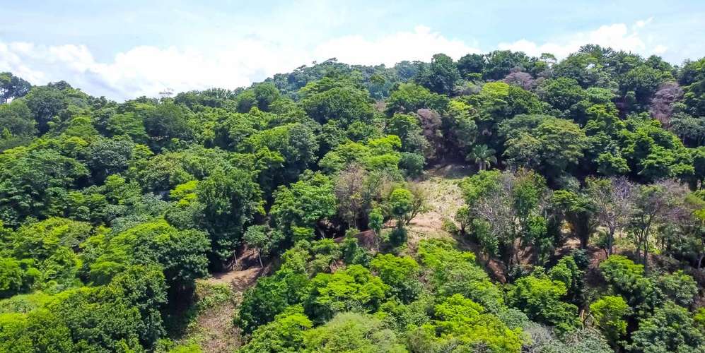Lote en Santa Teresa Puntarenas - Vista panorámica - Cerca playa y - Imagen 4