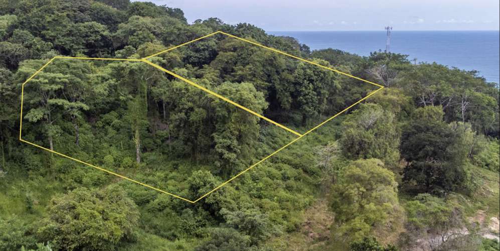Lote en Santa Teresa Puntarenas - Vista al mar y privacidad - - Imagen 4