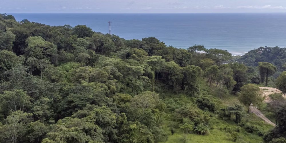 Lotes con Vista Panorámica al Mar en Santa Teresa - Imagen 3