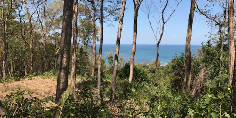 Lote frente al mar en Santa Teresa Playa Hermosa - privacidad total - - Imagen 4