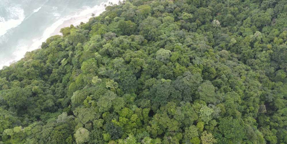 Lote frente al mar en Santa Teresa Playa Hermosa - privacidad total - - Imagen 2