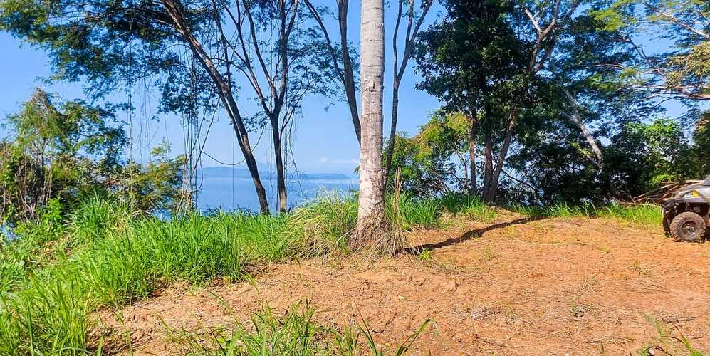 Finca en Manzanillo Puntarenas - Vista al mar y acceso playa - - Imagen 4