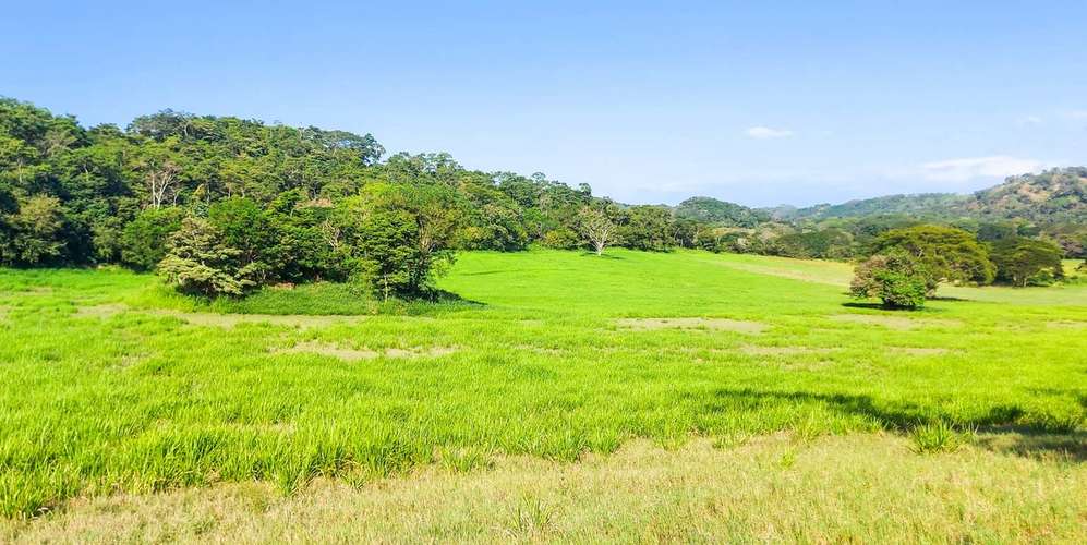 Finca en Manzanillo Puntarenas - Vista al mar y acceso playa - - Imagen 3