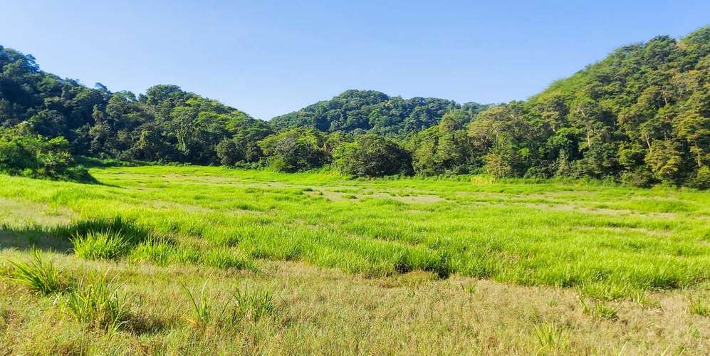 Farm Estate in Manzanillo Puntarenas Ocean View Terraces Near Beach