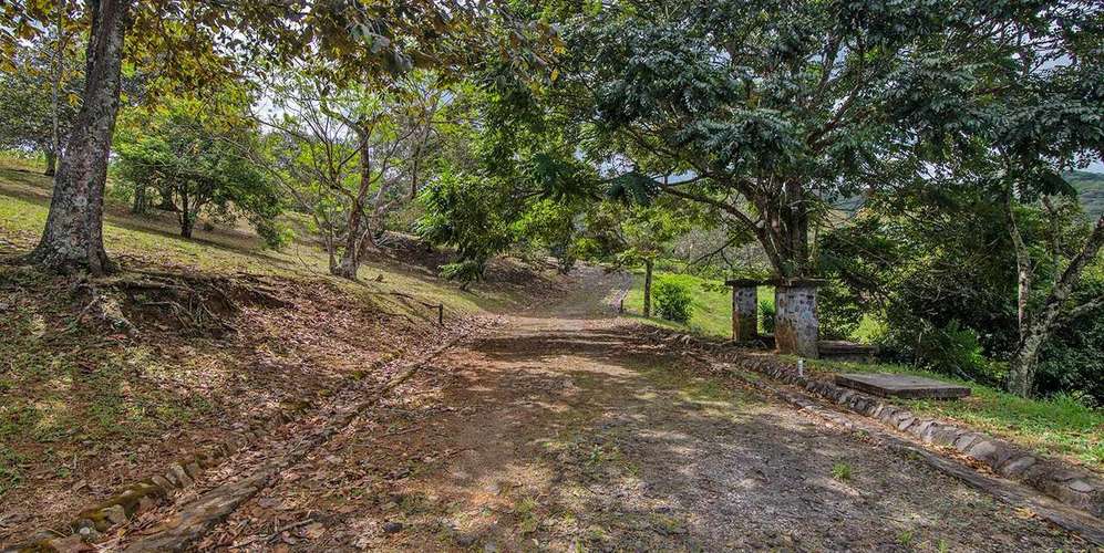 Lote en Ciudad Colón El Rodeo zona ecológica ideal para inversión - Imagen 2