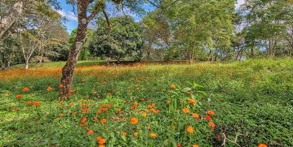 Lote en Ciudad Colón El Rodeo zona ecológica ideal para inversión - Imagen 6