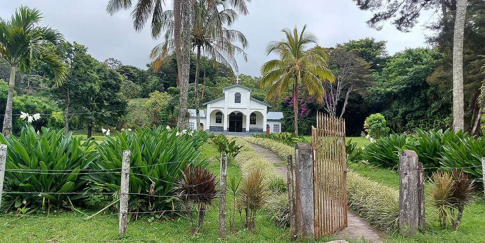 Finca en Monteverde 40 ha - Plantación de café premium -