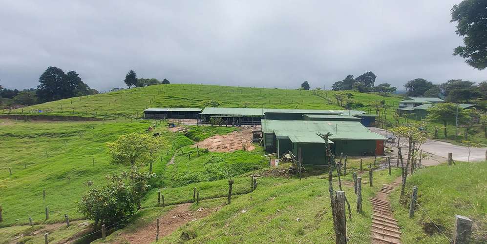 Finca en Moravia San Jerónimo 20 ha producción activa financiamiento