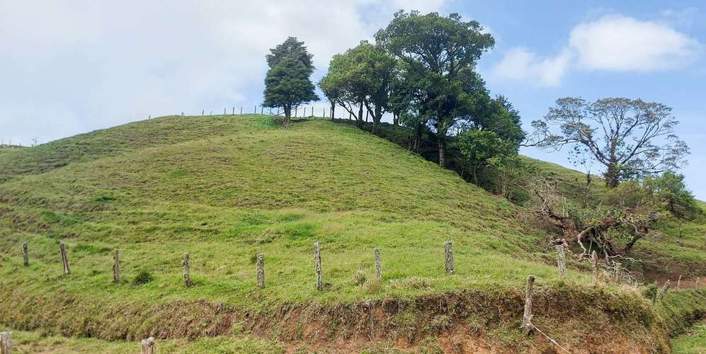 Finca en Moravia San Jerónimo 20 ha producción activa financiamiento