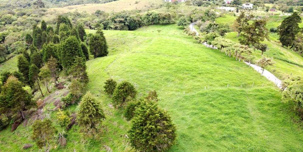Finca en Moravia San Jerónimo 20 ha producción activa financiamiento