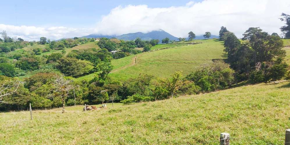 Finca en Moravia San Jerónimo 20 ha producción activa financiamiento