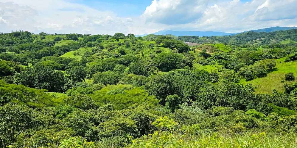Finca en Alajuela Turrucares con casas y piscina ideal para proyectos - Imagen 3