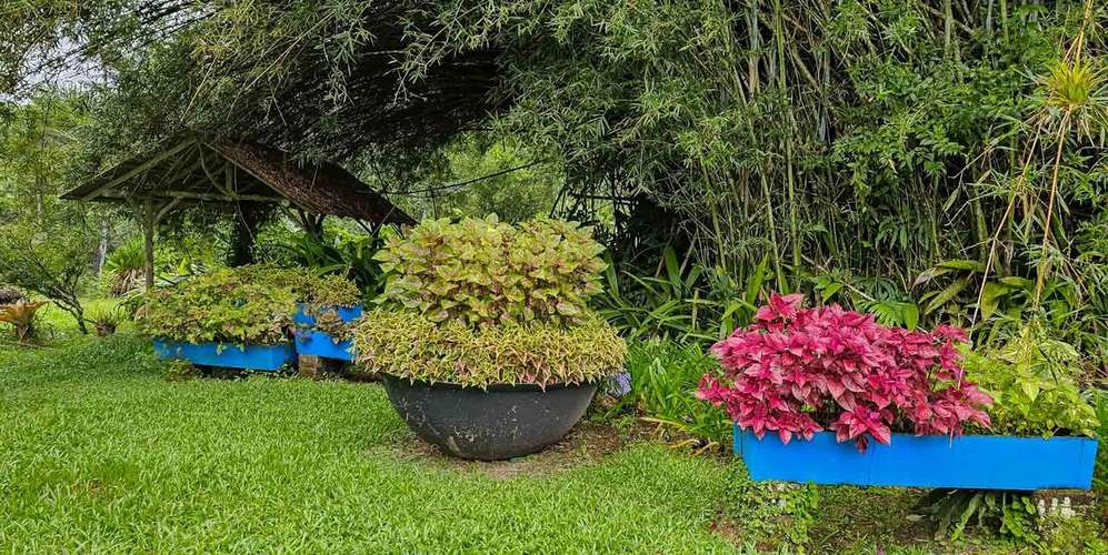 Finca 443 ha en Orosí Cartago - Bosque certificado - Turismo rural y