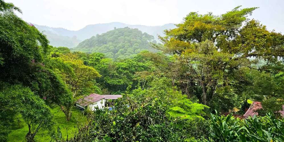 Farm Estate in Cartago Orosi - Conservation Forest - Tourism