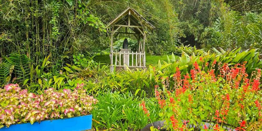 Finca 443 ha en Orosí Cartago - Bosque certificado - Turismo rural y