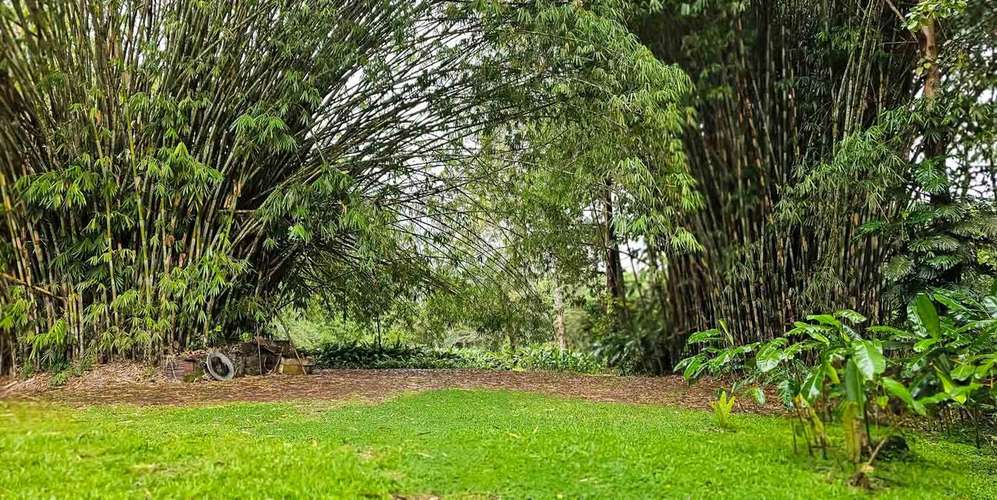 Finca 443 ha en Orosí Cartago - Bosque certificado - Turismo rural y - Imagen 3