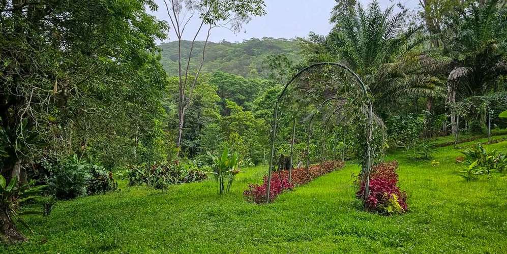 Finca 443 ha en Orosí Cartago - Bosque certificado - Turismo rural y