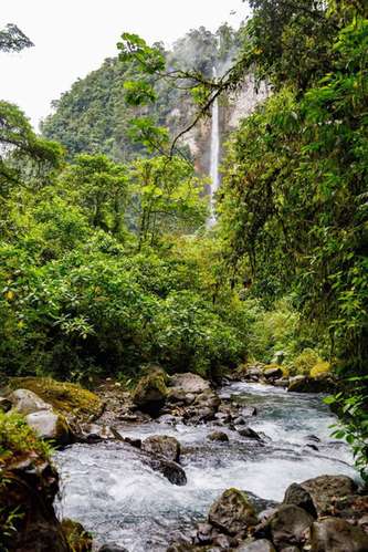 Eco Lodge 10 habs en Bajos del Toro Alajuela - Reserva natural -