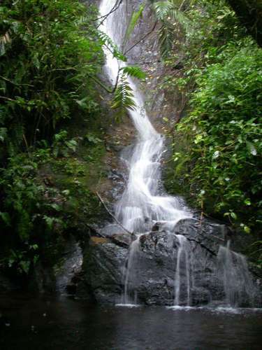 Eco Lodge 10 habs en Bajos del Toro Alajuela - Reserva natural -