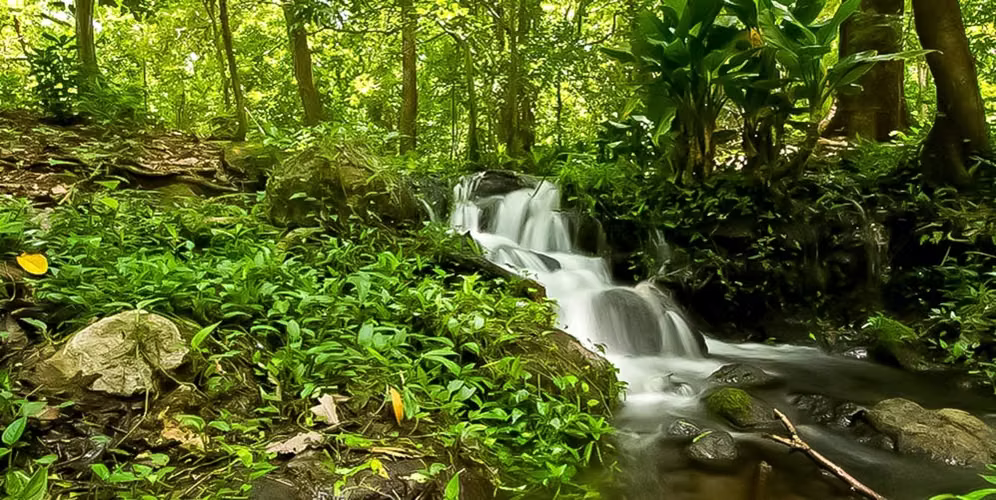 Hacienda Tierra Mística, Bagaces - Imagen 5