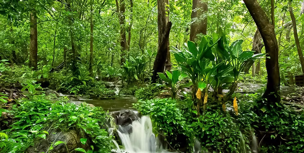Hacienda Tierra Mística, Bagaces