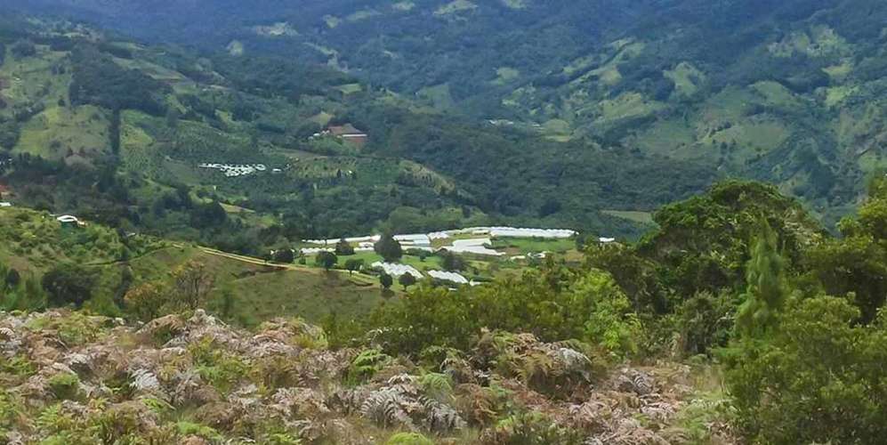 Finca en Dota 389 ha con casa y energía renovable - inversión única