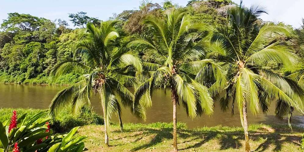 Finca en San Carlos Alajuela frente al río - 3150 acres con agua y