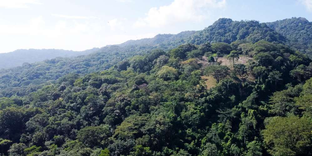Lote en Santa Teresa Cabuya Malpaís - Vista panorámica océano y selva - Imagen 6