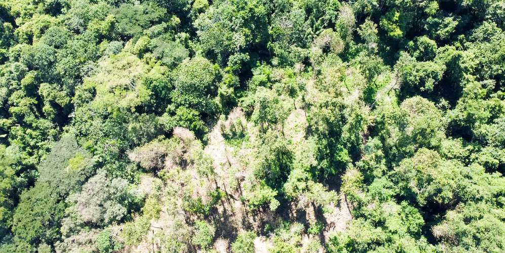 Lote en Santa Teresa Cabuya Malpaís - Vista panorámica océano y selva - Imagen 4