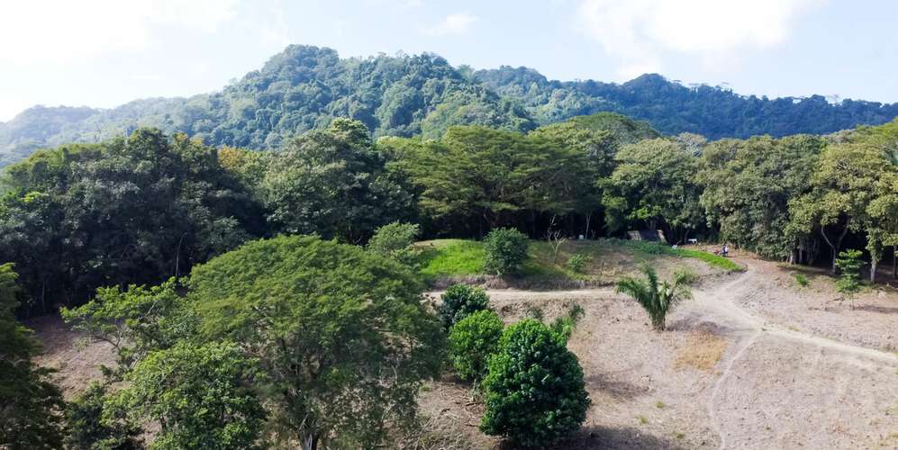 Lote en Santa Teresa Cabuya Malpaís - Vista panorámica océano y selva - Imagen 2