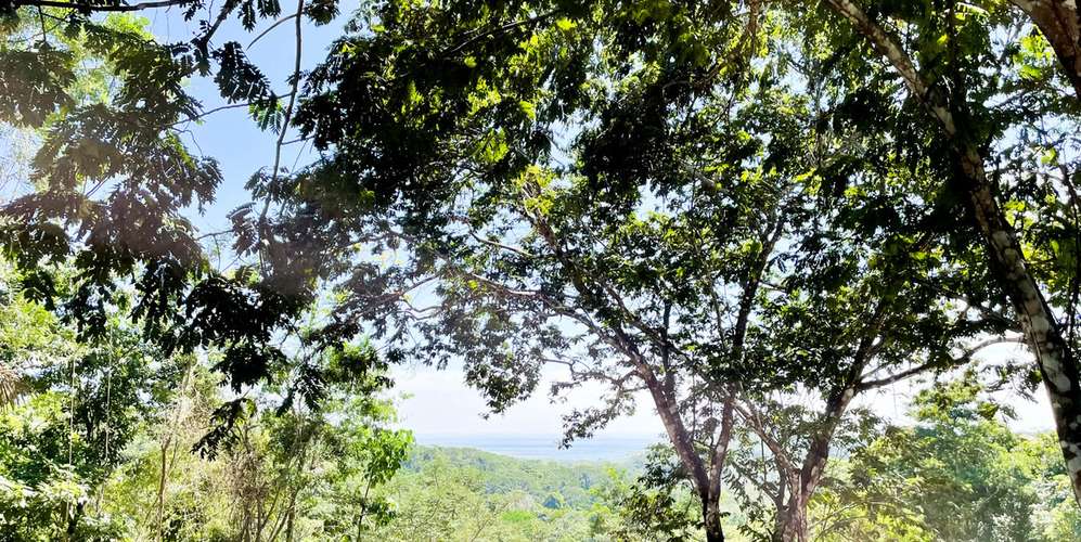 Lote en Santa Teresa Cabuya Malpaís - Vista panorámica océano y selva - Imagen 5