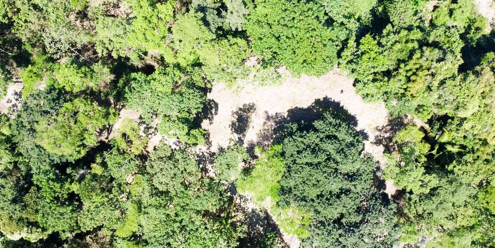 Lote en Santa Teresa Cabuya Malpaís - Vista panorámica océano y selva - Imagen 3