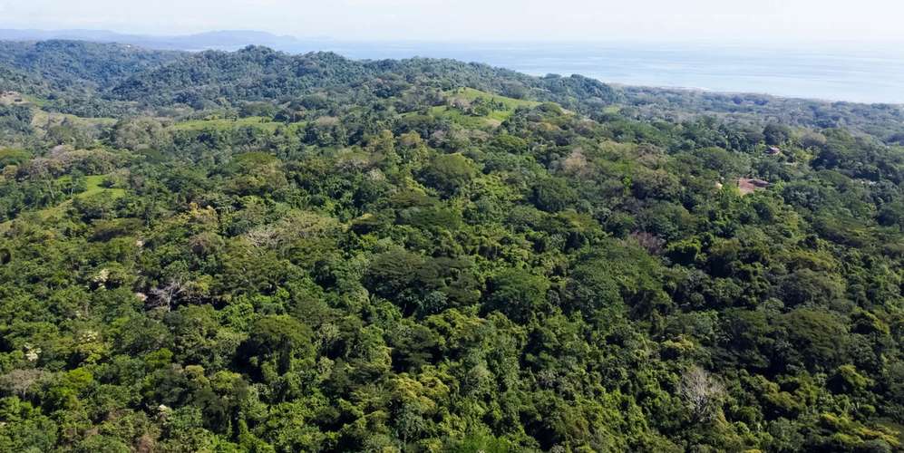 Lote en Santa Teresa Cabuya Malpaís - Vista panorámica océano y selva - Imagen 1