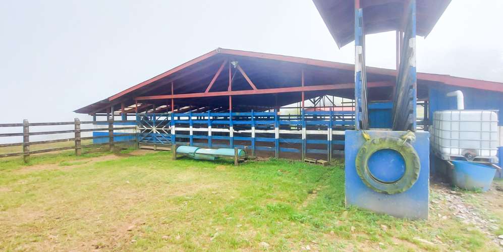 Finca agroindustrial en Naranjo Alajuela - Suelos agrícolas - Imagen 6