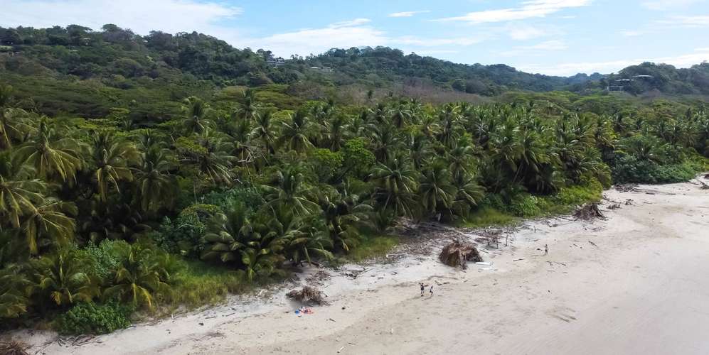 Lote frente al mar en Playa Hermosa Santa Teresa - oportunidad única - Imagen 6