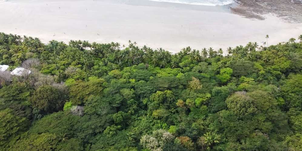 Lote frente al mar en Playa Hermosa Santa Teresa - oportunidad única - Imagen 3